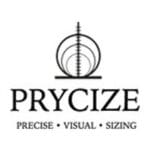 Prycize's logo